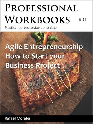 cover image of Agile Entrepreneurship